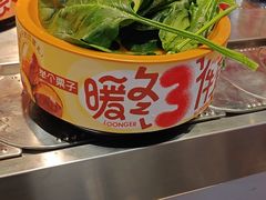 -龍歌自助小火锅(秦淮水游城店)