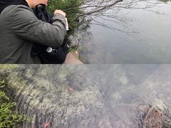 -无染寺