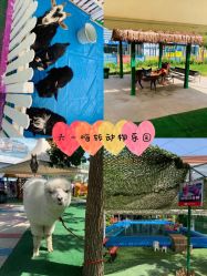 -萌宠亲子动物乐园(槐房万达店)