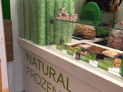 -Salud撒露欧洲冻酸奶(蓝色港湾店)