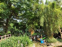 -成都市活水公园