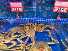 -今鲜源大酒店·中华餐饮名店(新湛路店)