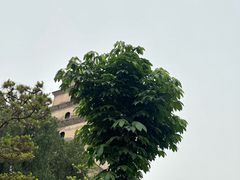 -大慈恩寺(大雁塔)