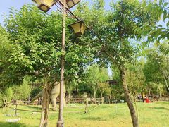 -邯郸朱山乐园