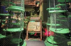 -恐龙探索乐园(磁器口店)