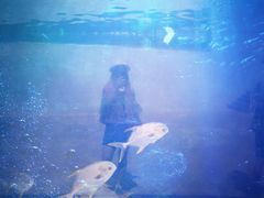 -瑞德姆美人鱼海底演艺主题餐厅(亚龙湾店)