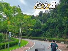 -火炉山森林公园
