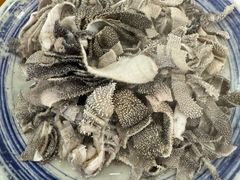 -金生隆(六铺炕店)