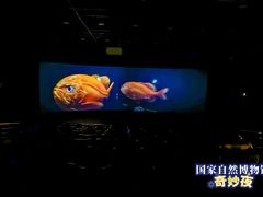 -国家自然博物馆