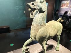 -广西壮族自治区博物馆