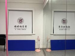 -柯宏＆雅婷塑形钢管舞蹈