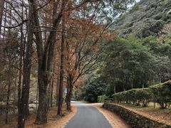 -天明山温泉大酒店