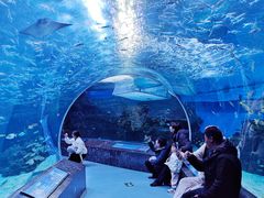 -海合安成都极地海洋公园