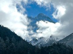 -黄龙山原始森林景区