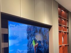 -索菲亚衣柜橱柜全屋定制(真北红星店)