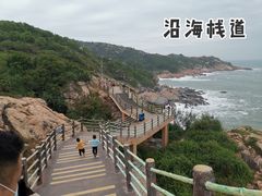 -广东惠东海龟国家级自然保护区