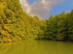 -上海海湾国家森林公园