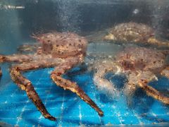 -老东营·东营菜(西四路店)