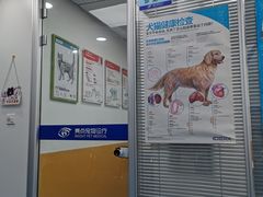 -美联众合动物医院(·中兽医·疑难杂症·严家桥分院)