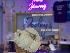 -Dooley's Premium Ice Cream