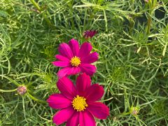 -三亚南山文化旅游区