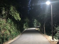 -南岗山公园