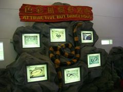 -屯门公园