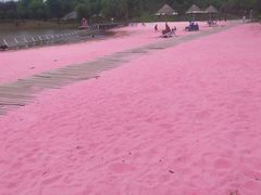 -上海杨姆庄园