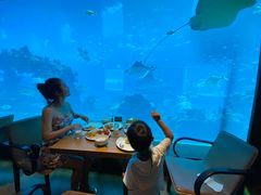 -海棠湾洲际-涛·海底餐厅·美人鱼·自助餐·海底隧道