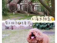 -太阳岛度假酒店