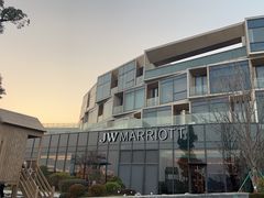 -东方美谷JW万豪酒店·The lounge大堂吧