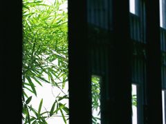 -绮园景区