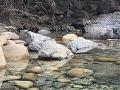 -石台牯牛降景区
