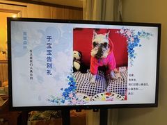 -翡翠森林宠物火化殡葬(通州店)