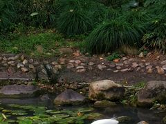 -苏州河梦清园环保主题公园