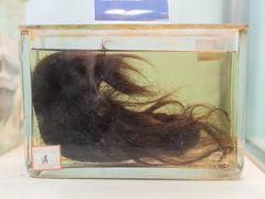 -四川大学(华西校区)