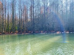 -上海海湾国家森林公园