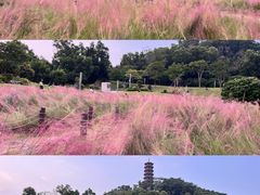 -红花山公园