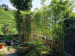 -心无尘茶餐馆(径山村店)