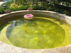 -南宫温泉水世界