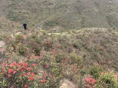 -广东天露山旅游度假区