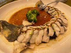 -西苑大酒店