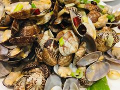 辣炒花蛤-宾朋海鲜特色美食餐厅·纯手工鲅鱼水饺(兴海路店)