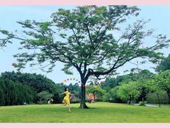 -南沙蒲洲花园