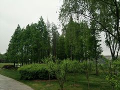 -尚贤河湿地
