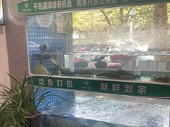 -全乐鱼馆·淳牌有机鱼直营店