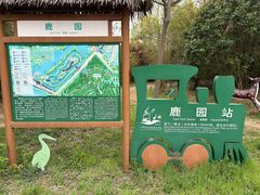 -泗洪洪泽湖湿地景区