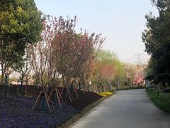 -上海杨姆庄园