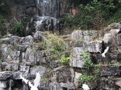 -陶祖圣境风景区