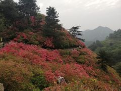 -木兰云雾山